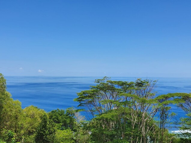 Affitto Anse Parnel Ville / +5 stanze