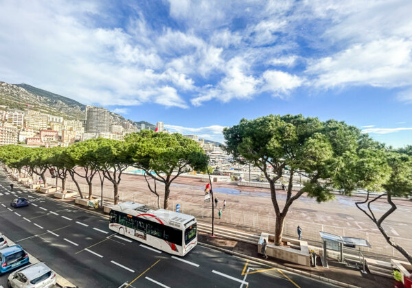 ПОРТ МОНАКО - 3 НОМЕРА - СМЕШАННОЕ ИСПОЛЬЗОВАНИЕ