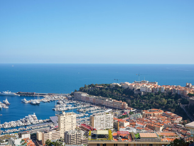 JARDIN EXOTIQUE - 3 PIÈCES - ROOFTOP AVEC PISCINE