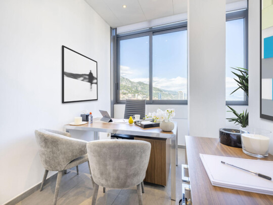 JARDIN EXOTIQUE - SPACIEUX BUREAU PRIVÉ