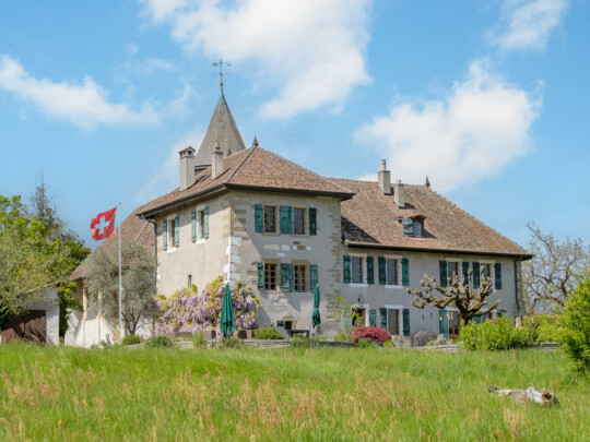 GENÈVE - SATIGNY - PROPRIÉTÉ AU COEUR DES VIGNES