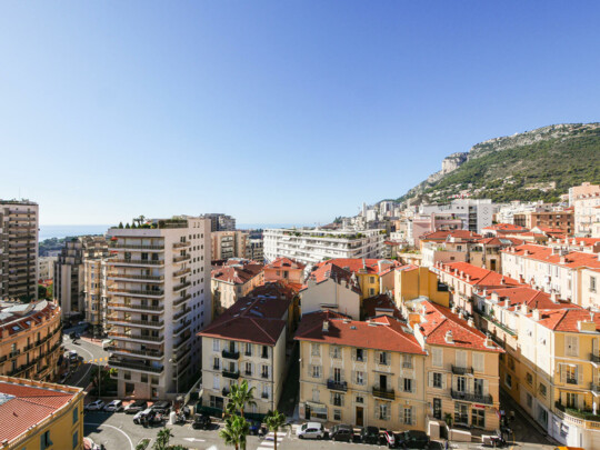 MILLEFIORI - 3 PIÈCES RÉNOVÉ ET MEUBLÉ