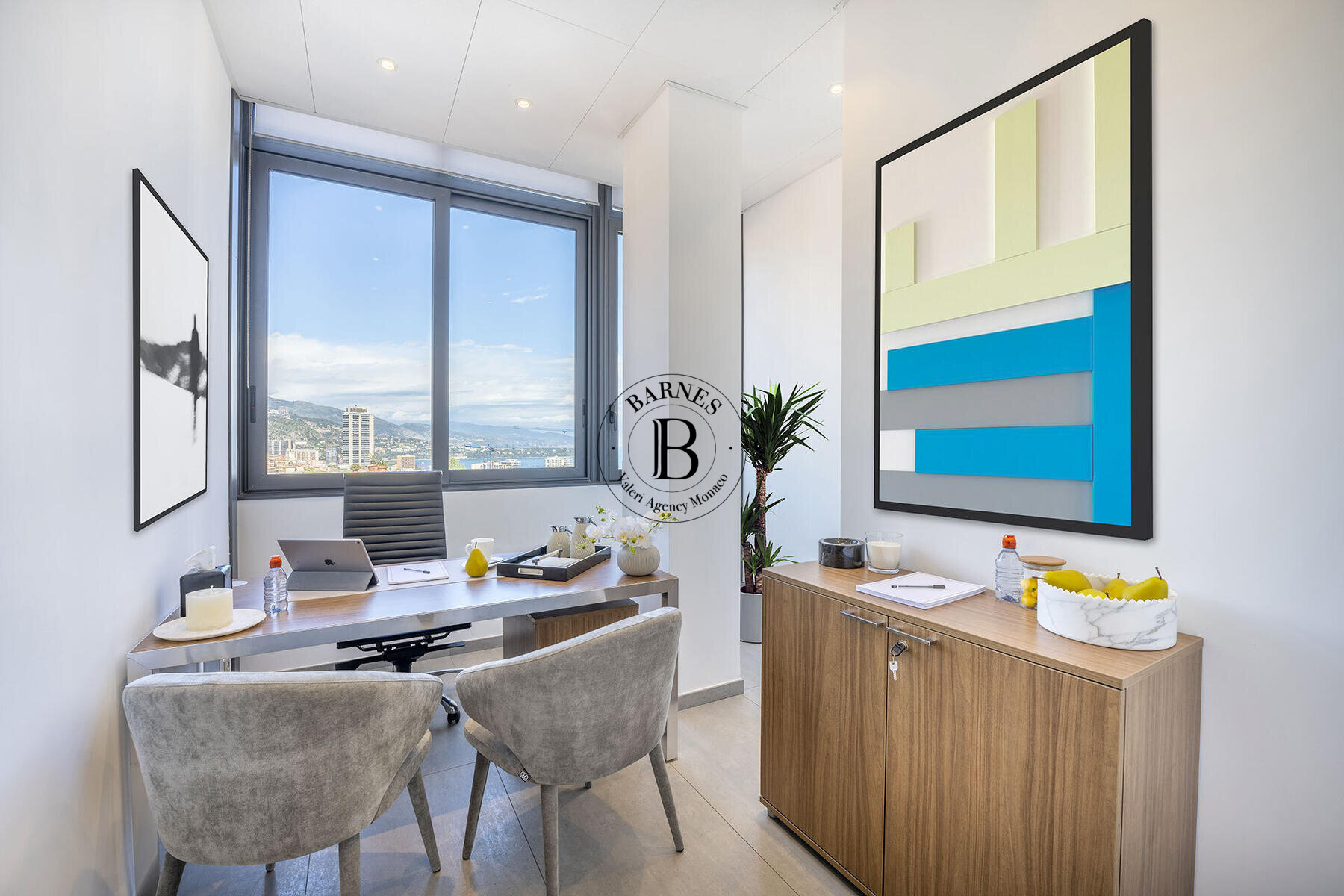 ЭКЗОТИЧЕСКИЙ САД — ПРОСТОРНЫЙ ЧАСТНЫЙ ОФИС - 2/4