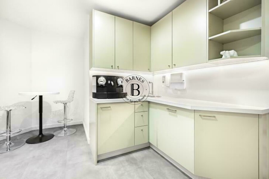 SAINT ROMAN - BUREAUX EXCLUSIFS AVEC SERVICES - 2/6